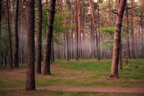 华体会-国家队教练团队沟通效率低下，专业的教练员团队