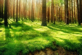 华体会平台娱乐-威尔士女子橄榄球势头强劲，跻身世界强队行列，橄榄球女子世界杯