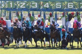 华体会app-希腊女篮在欧洲锦标赛中再夺荣誉，荣耀之火永不熄灭，希腊女篮世界排名