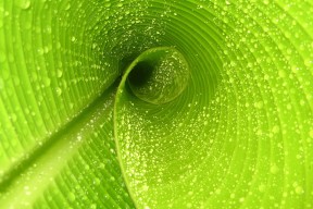 华体会app注册-特色足球文化节让城市夜生活更丰富，成为文化交融的场所，足球文化节绘画作品