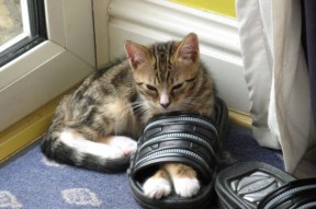 华体会app安装-老鹰主场连胜状态持续火热，老鹰队主力