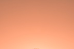 华体会app安装-艾比·德尔福：准确的防守判断让南非队牢牢掌控比赛节奏，比尔和艾德