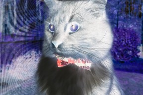 华体会手机网站-世界杯激动人心：每一场都令人热血沸腾！，世界杯激战正酣,我们都知道