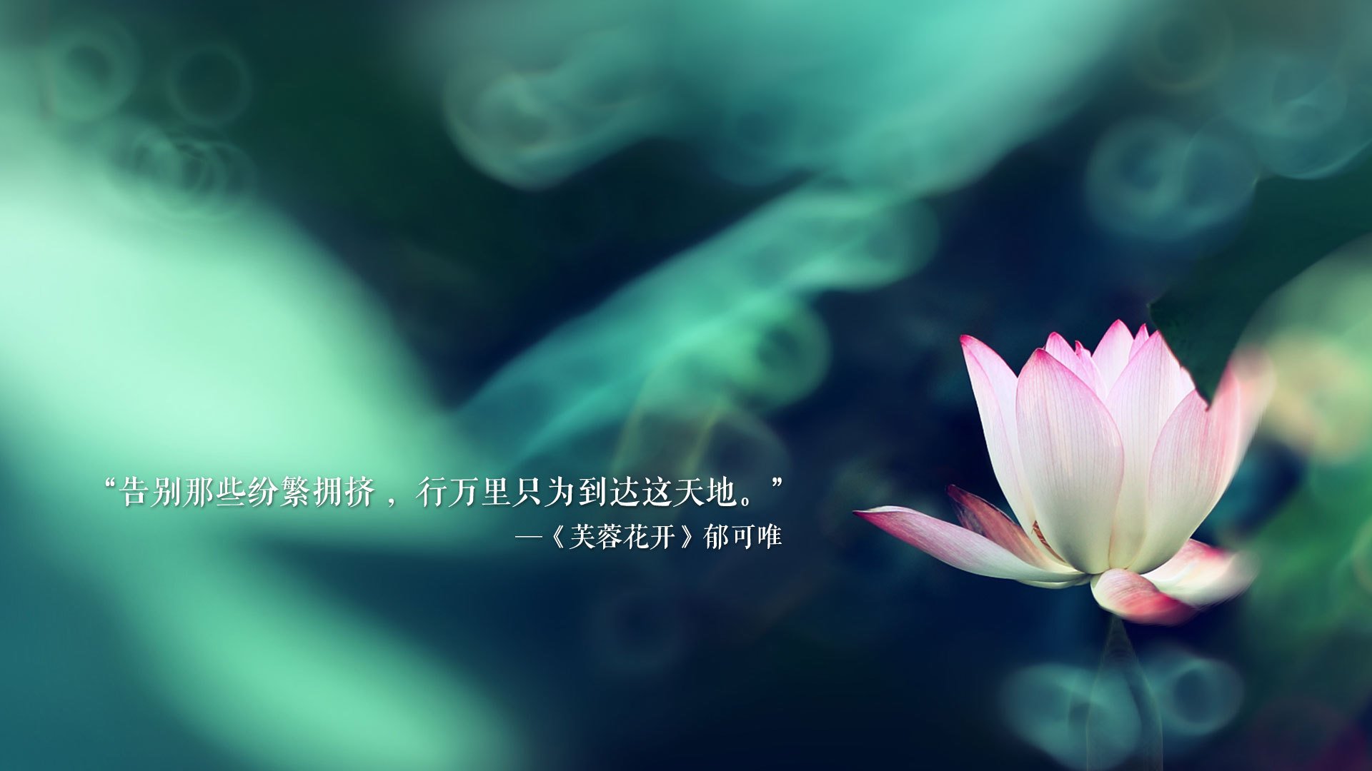 德甲防守协作效率与抢断次数的定量关系研究，抢断是防守吗