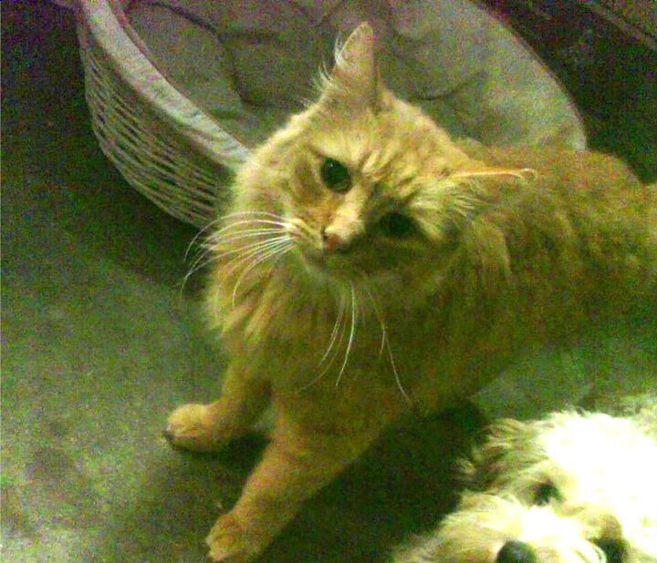 高校体育运动损伤预防教育体系研究，高中体育运动损伤及预防ppt