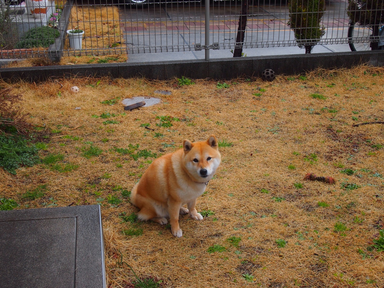 CBA赛季吸引大量篮球迷关注,cba球队2021