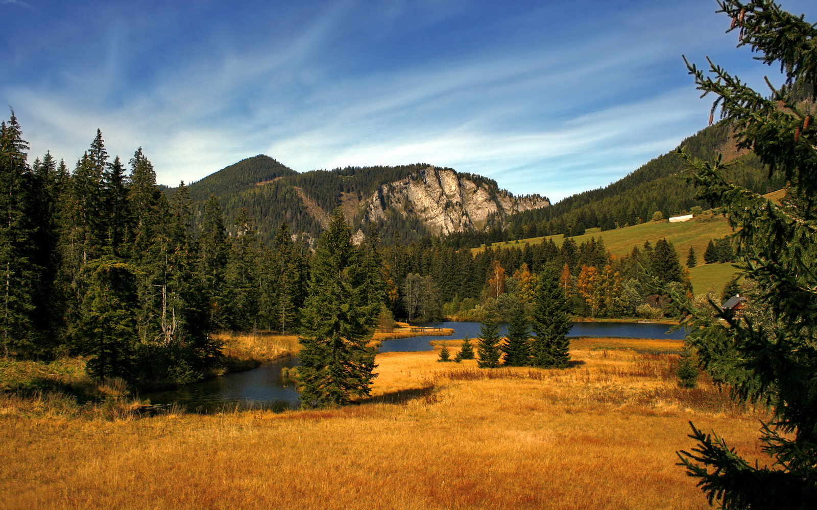 国际热身赛国家队爆冷 战术布局引发热议，国际热身赛直播