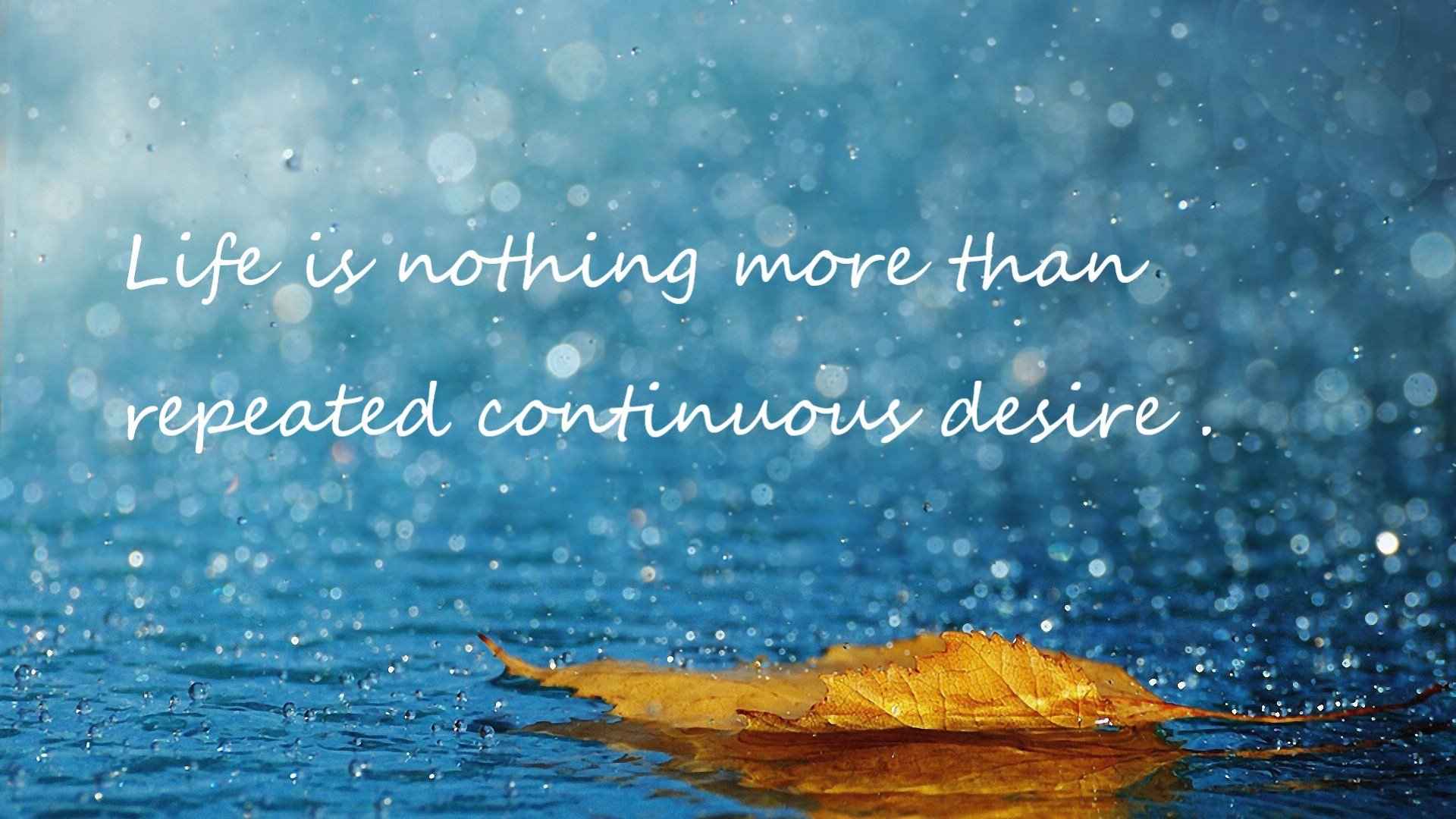 德国队迎战国际乒联混合团体世界杯:赛制影响及战术策略,德国乒乓球赛程