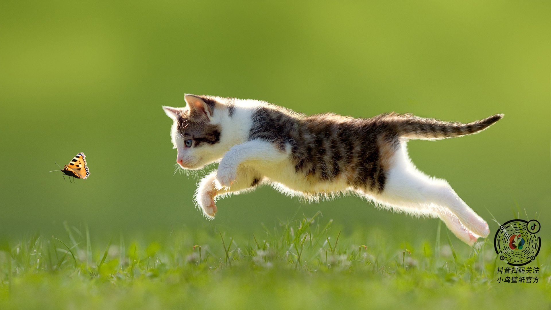 战术多样化成为中国篮球新课题,篮球战术理念