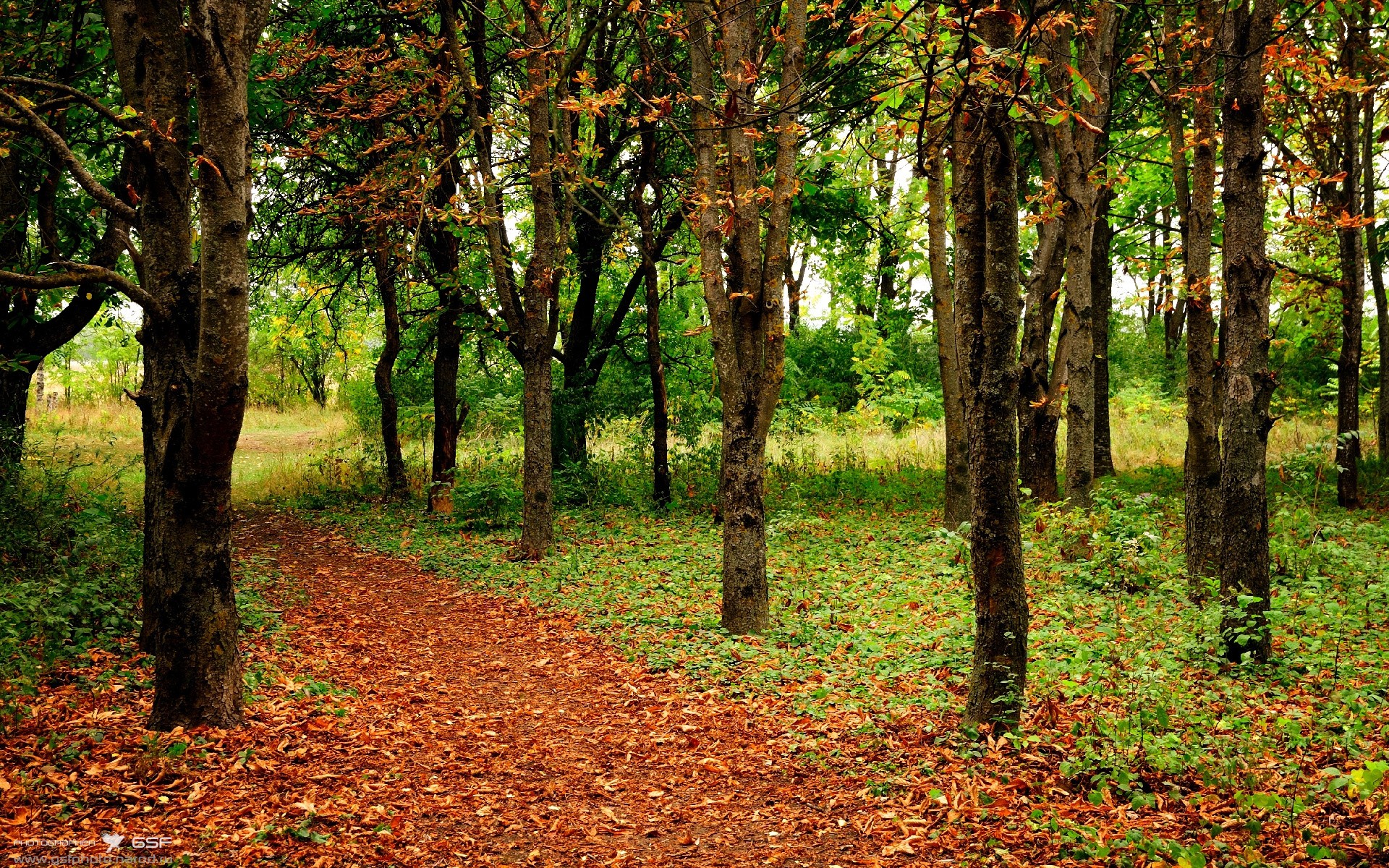 马赛快速出球形成持续高压态势,马赛首发
