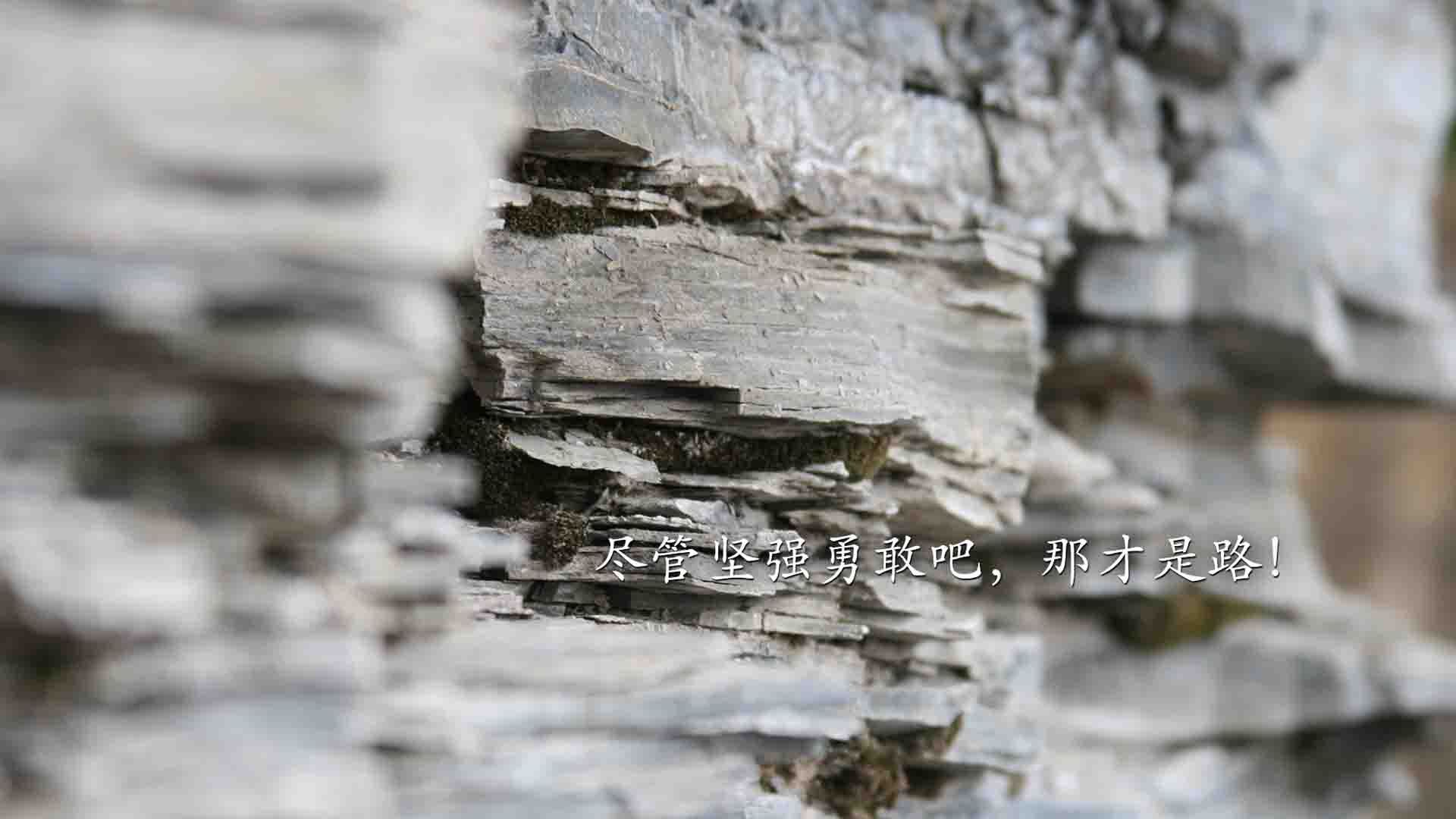 体育志愿者培训手册正式发布,体育赛事志愿者培训包括哪些内容