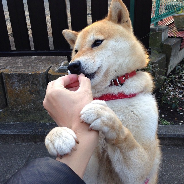 体育新闻中心通报各大省市训练基地运行情况,省级体育训练基地