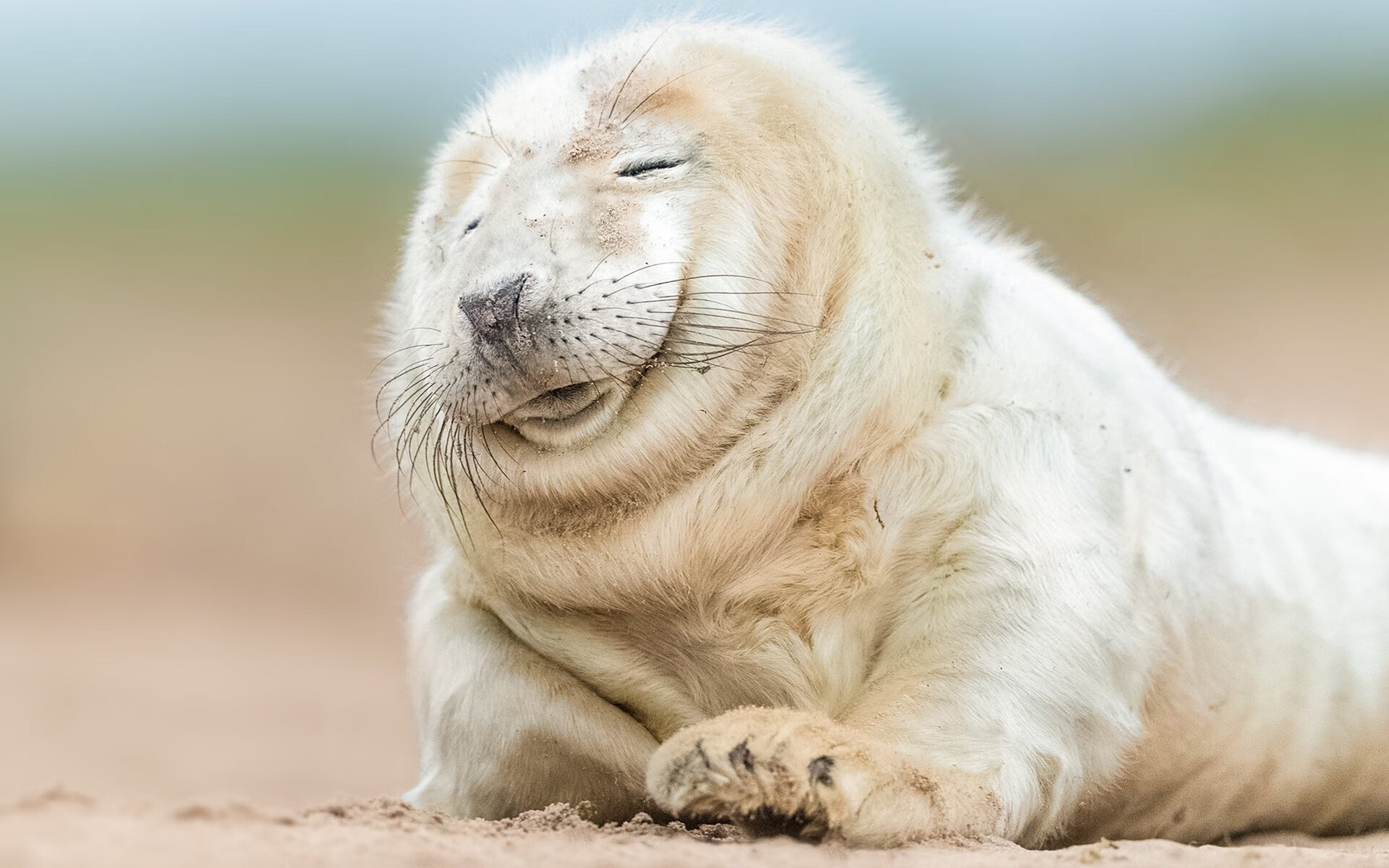 全黑队全面的攻击手段让对手无法防备,全黑队服