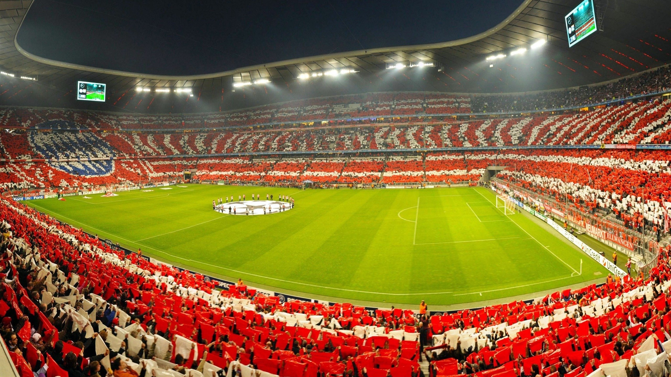 南非羚羊队：每一场比赛中，他们都能迅速恢复并进入节奏，南非大羚羊主要分布哪里