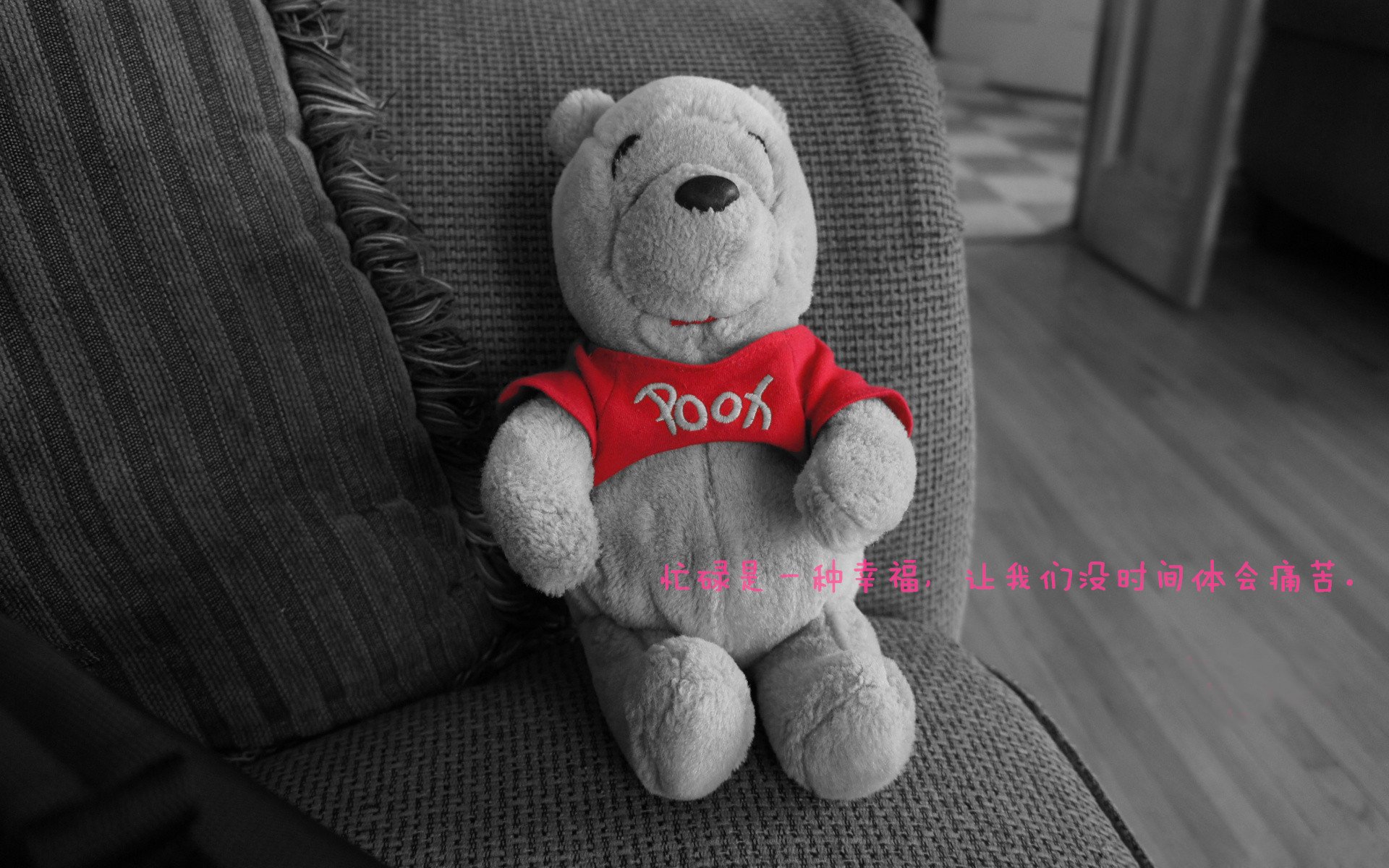 国家跆拳道协会发布裁判评分系统升级说明,国家跆拳道裁判员证书