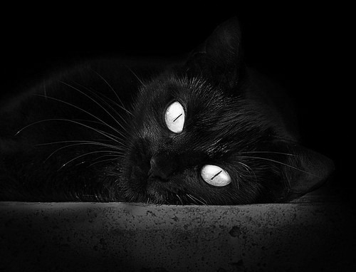 德甲争冠激战:节奏快、技巧高,场面火热,德甲打法