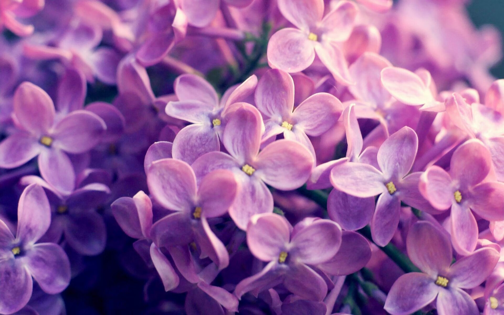 中国球员入选亚洲最佳阵容引发热议,亚洲球员实力排名